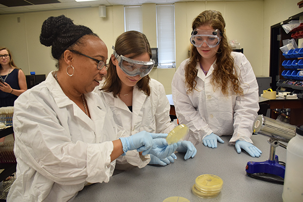 Angela McKinney (left) shares lab process instructions with NWU biology students.