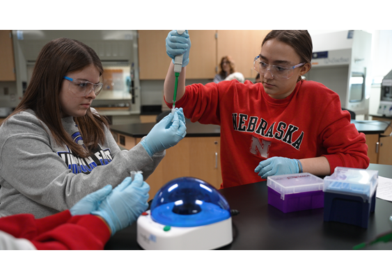 two female students wearing rubber gloves transfer a sample from a pipette to a tube for testing
