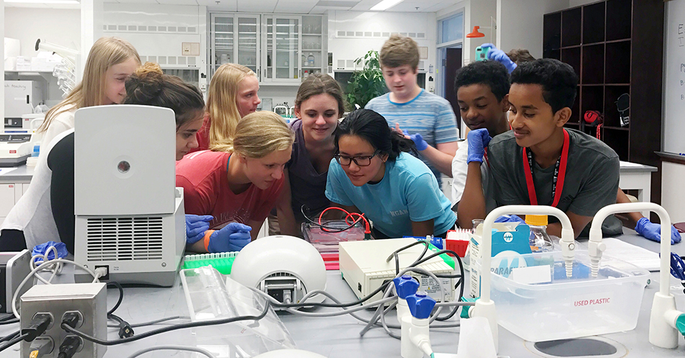 High school students work in labs at UNL's Beadle Center during a Young Nebraska Scientists camp focused on microbes.