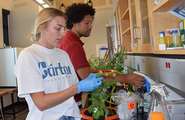 a woman and a man work side-by-side at a lab bench with equipment, and plants